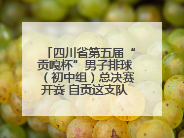 四川省第五届“贡嘎杯”男子排球（初中组）总决赛开赛 自贡这支队伍打进半决赛