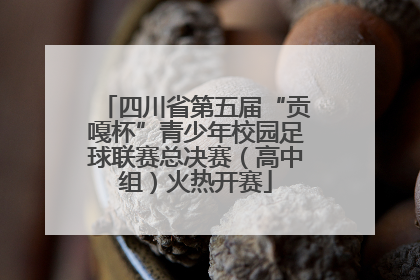 四川省第五届“贡嘎杯”青少年校园足球联赛总决赛（高中组）火热开赛