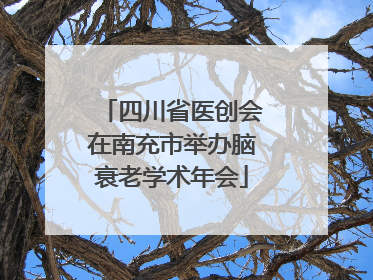 四川省医创会在南充市举办脑衰老学术年会