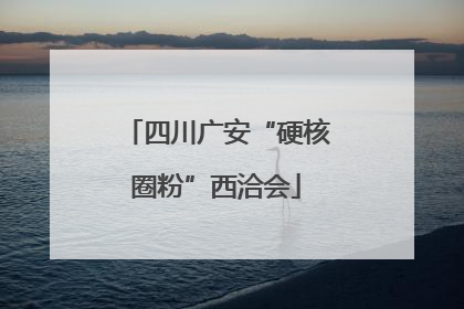 四川广安“硬核圈粉”西洽会