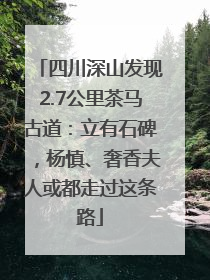 四川深山发现2.7公里茶马古道：立有石碑，杨慎、奢香夫人或都走过这条路