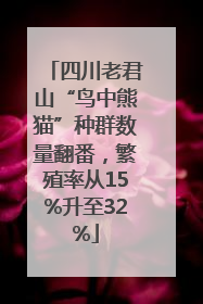 四川老君山“鸟中熊猫”种群数量翻番，繁殖率从15%升至32%