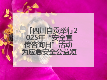 四川自贡举行2025年“安全宣传咨询日”活动 为应急安全公益短视频获奖者颁奖