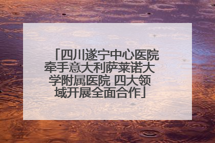 四川遂宁中心医院牵手意大利萨莱诺大学附属医院 四大领域开展全面合作