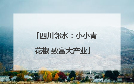 四川邻水：小小青花椒 致富大产业