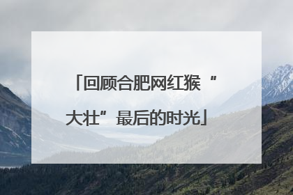 回顾合肥网红猴“大壮”最后的时光