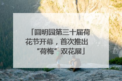 圆明园第三十届荷花节开幕，首次推出“荷梅”双花展