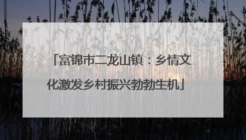 富锦市二龙山镇：乡情文化激发乡村振兴勃勃生机