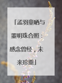 孟羽童晒与董明珠合照：感念曾经，未来珍重