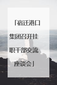 宿迁港口集团召开挂职干部交流座谈会