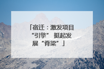 宿迁：激发项目“引擎” 挺起发展“脊梁”