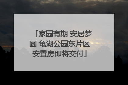 家园有期 安居梦圆 龟湖公园东片区安置房即将交付