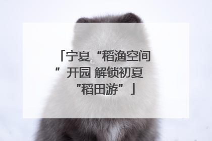 宁夏“稻渔空间”开园 解锁初夏“稻田游”