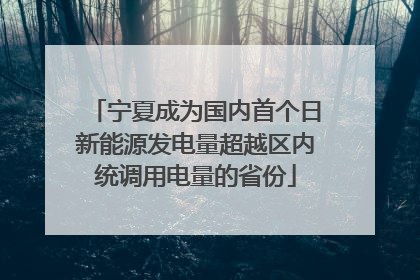 宁夏成为国内首个日新能源发电量超越区内统调用电量的省份