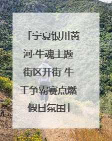 宁夏银川黄河·牛魂主题街区开街 牛王争霸赛点燃假日氛围