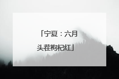 宁夏：六月头茬枸杞红