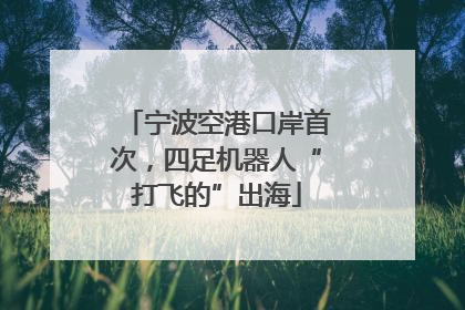 宁波空港口岸首次，四足机器人“打飞的”出海