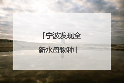 宁波发现全新水母物种