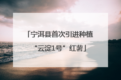 宁洱县首次引进种植“云淀1号”红薯
