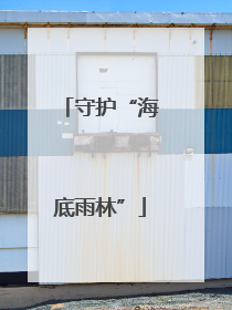 守护“海底雨林”