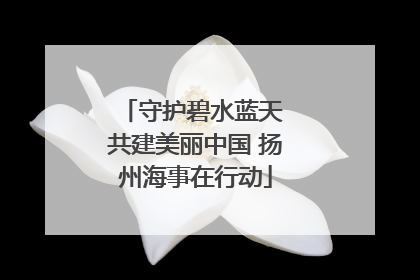 守护碧水蓝天 共建美丽中国 扬州海事在行动