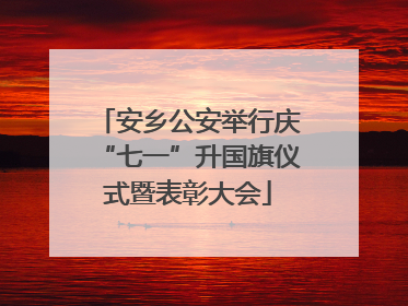 安乡公安举行庆“七一”升国旗仪式暨表彰大会
