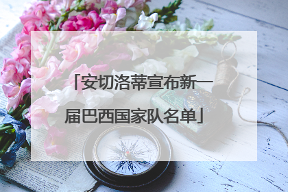 安切洛蒂宣布新一届巴西国家队名单