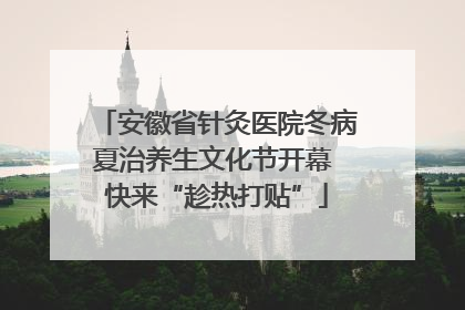 安徽省针灸医院冬病夏治养生文化节开幕 快来“趁热打贴”