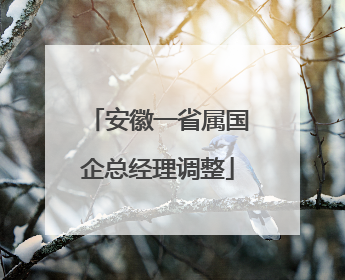安徽一省属国企总经理调整