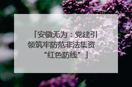 安徽无为：党建引领筑牢防范非法集资“红色防线”