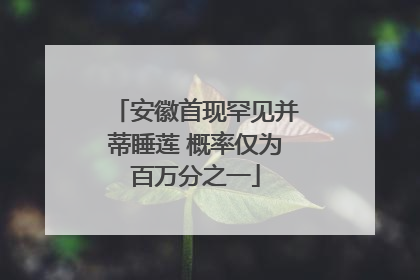 安徽首现罕见并蒂睡莲 概率仅为百万分之一