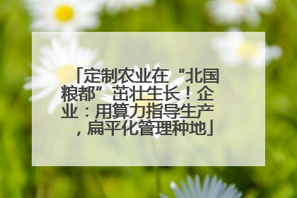 定制农业在“北国粮都”茁壮生长！企业：用算力指导生产，扁平化管理种地
