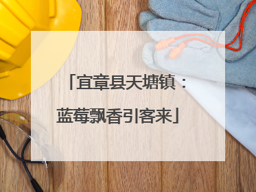宜章县天塘镇：蓝莓飘香引客来