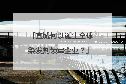 宜城何以诞生全球染发剂领军企业？