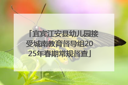 宜宾江安县幼儿园接受城南教育督导组2025年春期常规督查