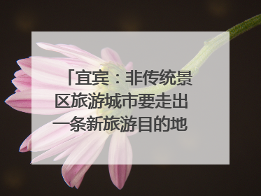 宜宾：非传统景区旅游城市要走出一条新旅游目的地新路子｜话锦绣·说安逸