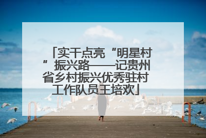 实干点亮“明星村”振兴路——记贵州省乡村振兴优秀驻村工作队员王培欢