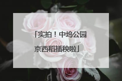 实拍！中坞公园京西稻插秧啦