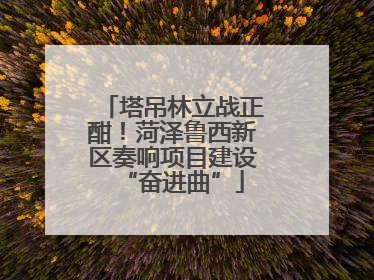 塔吊林立战正酣！菏泽鲁西新区奏响项目建设“奋进曲”