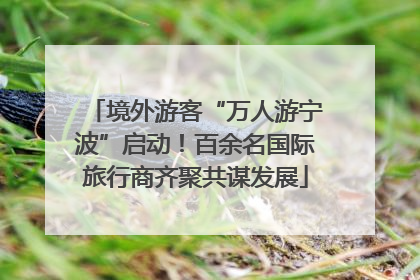 境外游客“万人游宁波”启动！百余名国际旅行商齐聚共谋发展