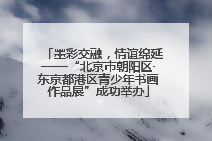 墨彩交融，情谊绵延——“北京市朝阳区·东京都港区青少年书画作品展”成功举办