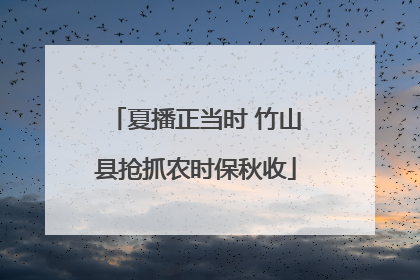 夏播正当时 竹山县抢抓农时保秋收