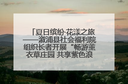 夏日缤纷·花漾之旅——溆浦县社会福利院组织长者开展“畅游薰衣草庄园 共享紫色浪漫”户外活动
