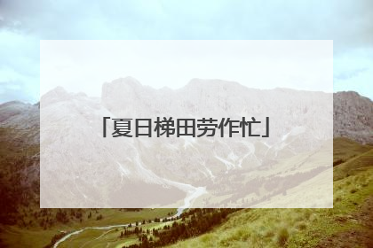 夏日梯田劳作忙