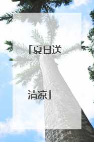 夏日送清凉