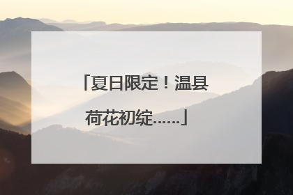夏日限定！温县荷花初绽……