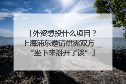 外资想投什么项目？上海浦东邀请供需双方“坐下来掰开了谈”