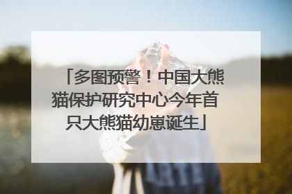 多图预警！中国大熊猫保护研究中心今年首只大熊猫幼崽诞生