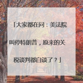 大家都在问：美法院叫停特朗普，原来的关税谈判都白谈了？