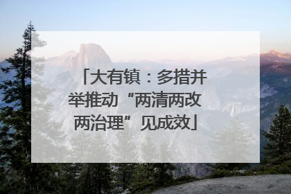 大有镇：多措并举推动“两清两改两治理”见成效